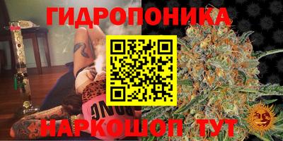 бошки Лесосибирск